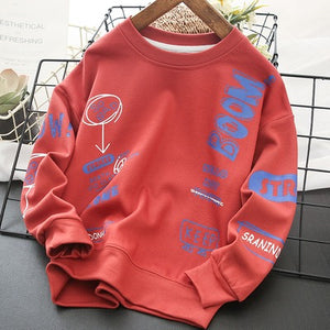 Toddler Boys Pure Stylish Design Sweatshirt 5-6 years